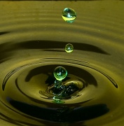 1st Oct 2012 - Water Drops