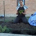 planting hedges by inspirare