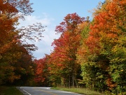 30th Sep 2012 - On the Road to Snowshoe, West Virginia