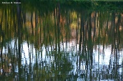 1st Oct 2012 - The Pond/Late Day Reflections