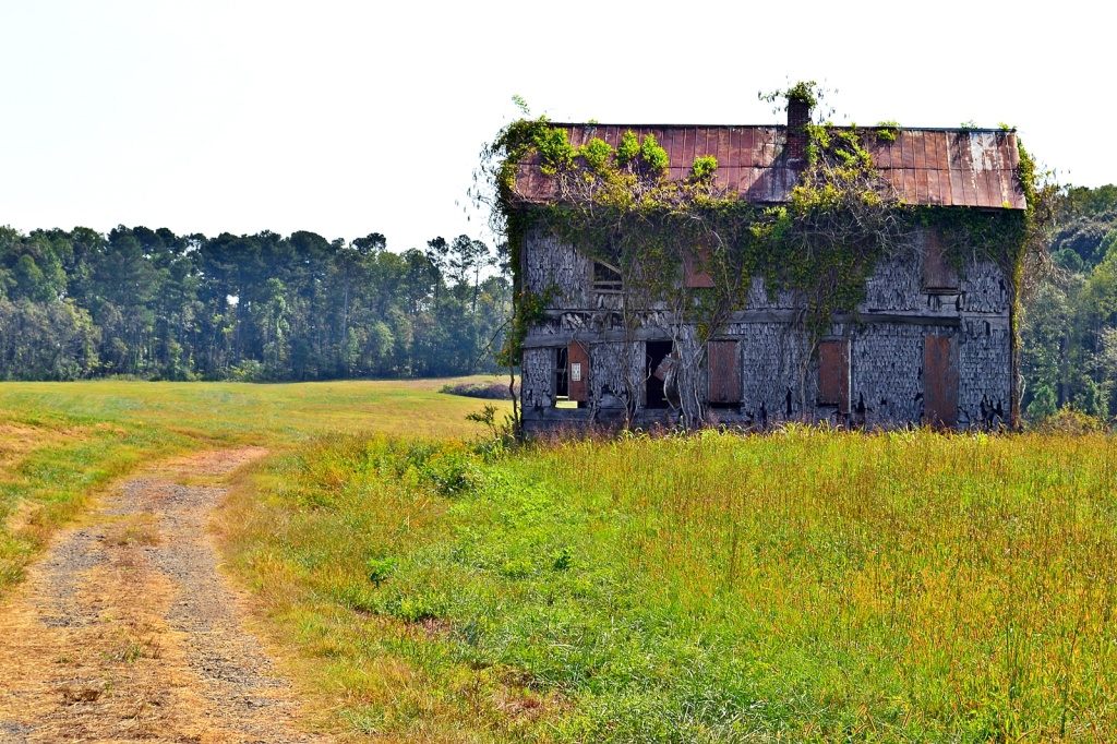 For Sale:  Country Estate "A Fixer-Upper" by soboy5