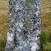 Wayside cross on Dartmoor   by jennymdennis