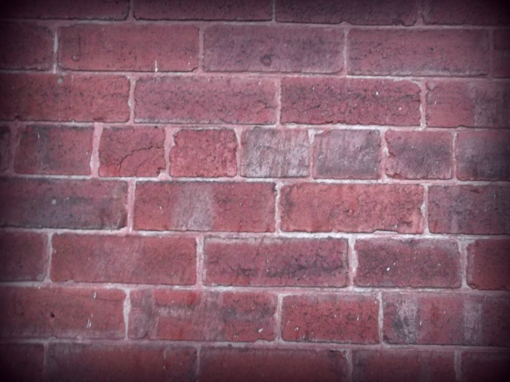 Brick Wall by plainjaneandnononsense