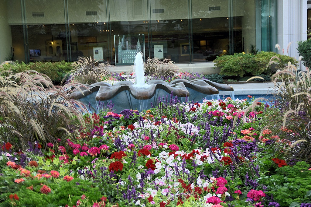 Garden Looking into South Vistors Center by hjbenson