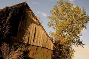 2nd Oct 2012 - Sun reflecting on the old barn