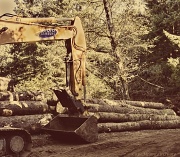 3rd Oct 2012 - Local Culture- Logging