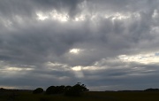 3rd Oct 2012 - Late afternoon skies over the marsh, Folly Island, SC