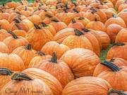 4th Oct 2012 - Pumpkins for Sale!