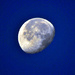 Blue Moon by seanoneill