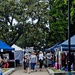 Manly Markets by corymbia