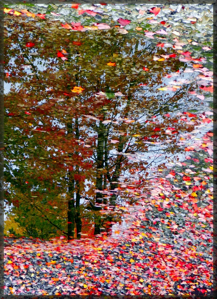 Autumn Confetti Reflections! by paintdipper