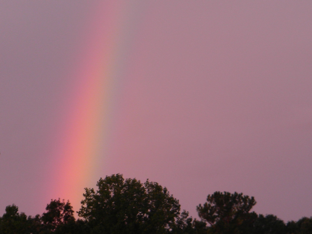 Rainbow at CHS 10.4.12 by sfeldphotos