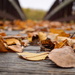 Tag Challenge Bridge & Leaves by myhrhelper
