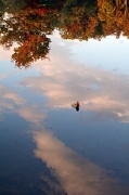 5th Oct 2012 - Floating On A Cloud