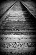 4th Oct 2012 - Railroad Tracks