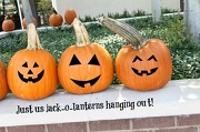 3rd Oct 2012 - Jack-o-lanterns