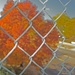 fenced in by dmdfday
