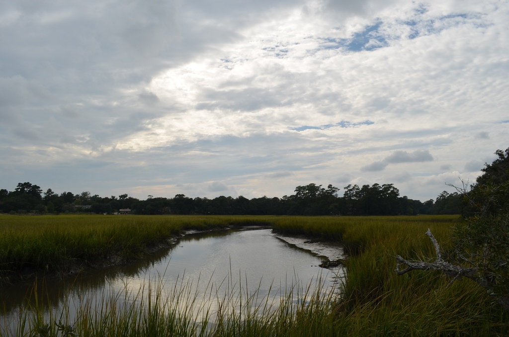 Old Towne Creek and marsh scene, Charleston, SC by congaree