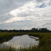 Old Towne Creek and marsh scene, Charleston, SC by congaree