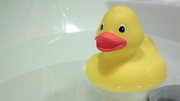 4th Oct 2012 - Rubber duck