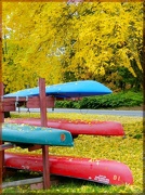 5th Oct 2012 - Fall Canoeing