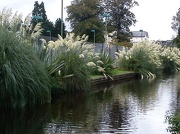 5th Oct 2012 - Tavistock canal 