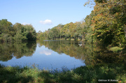 5th Oct 2012 - Mill Pond