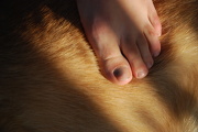 28th Sep 2012 - Becca's sore toe