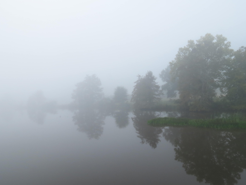Foggy Morning by grammyn