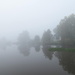 Foggy Morning by grammyn