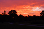 6th Oct 2012 - The Sky on Fire
