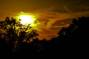 6th Oct 2012 - Sunset through the trees