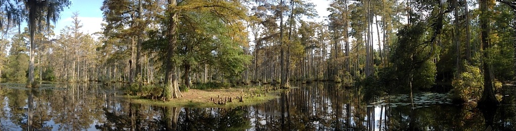 Sunday afternoon in Cypress Gardens, Berkeley County, SC (Panorama taken with my iPhone 4S using the 360 panorama app.)  Best viewed in large size. by congaree
