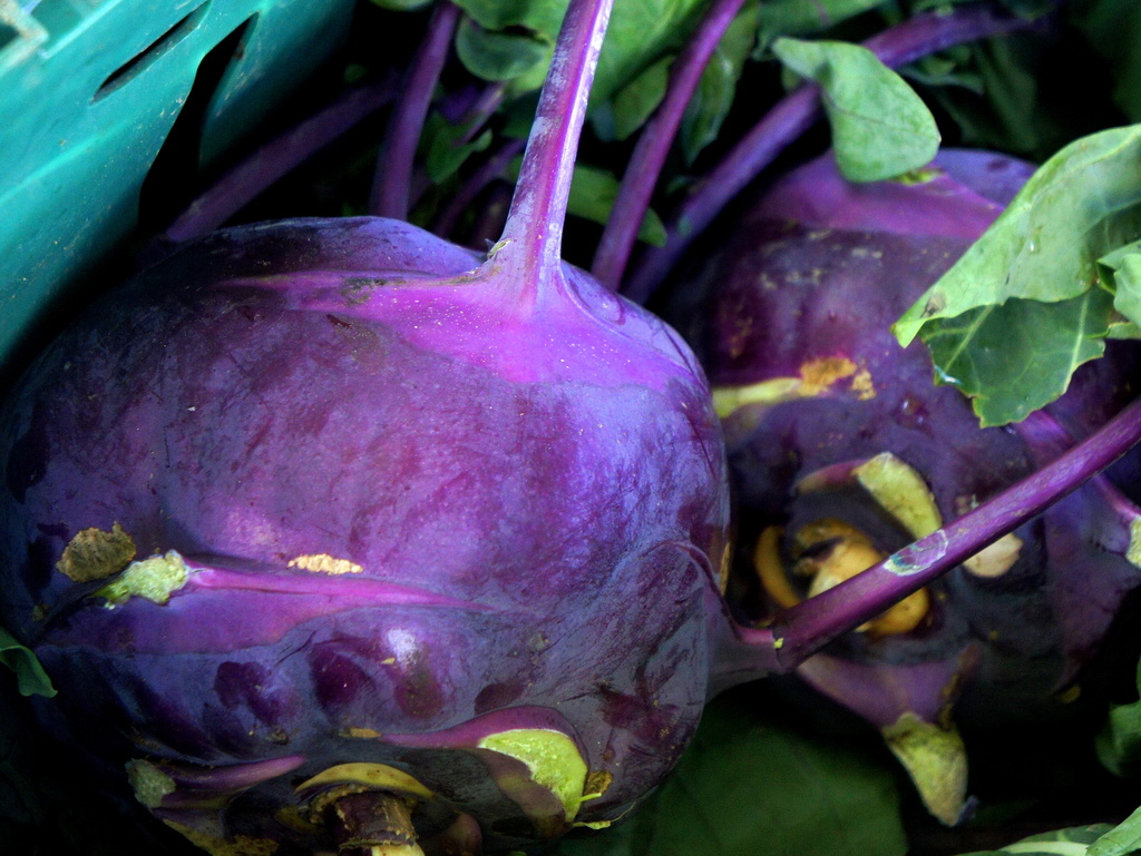 Posh purple turnip by boxplayer