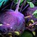 Posh purple turnip by boxplayer