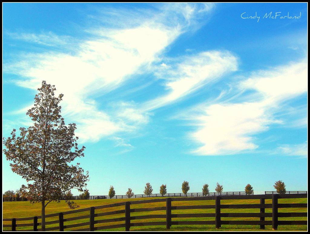 Autumn Skies by cindymc