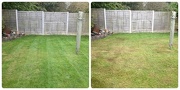 7th Oct 2012 - Before and after