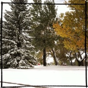 6th Oct 2012 - First Snow - Cheyenne, WY