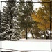First Snow - Cheyenne, WY by hmgphotos