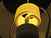 8th Oct 2012 - New Bulb