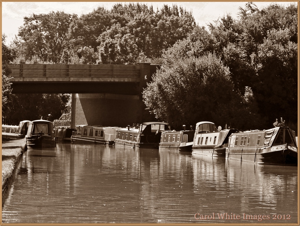 Narrowboats At Moorings by carolmw
