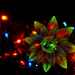 lights & flowers by winshez