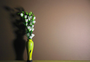8th Oct 2012 - Lisianthus in vase with shadow