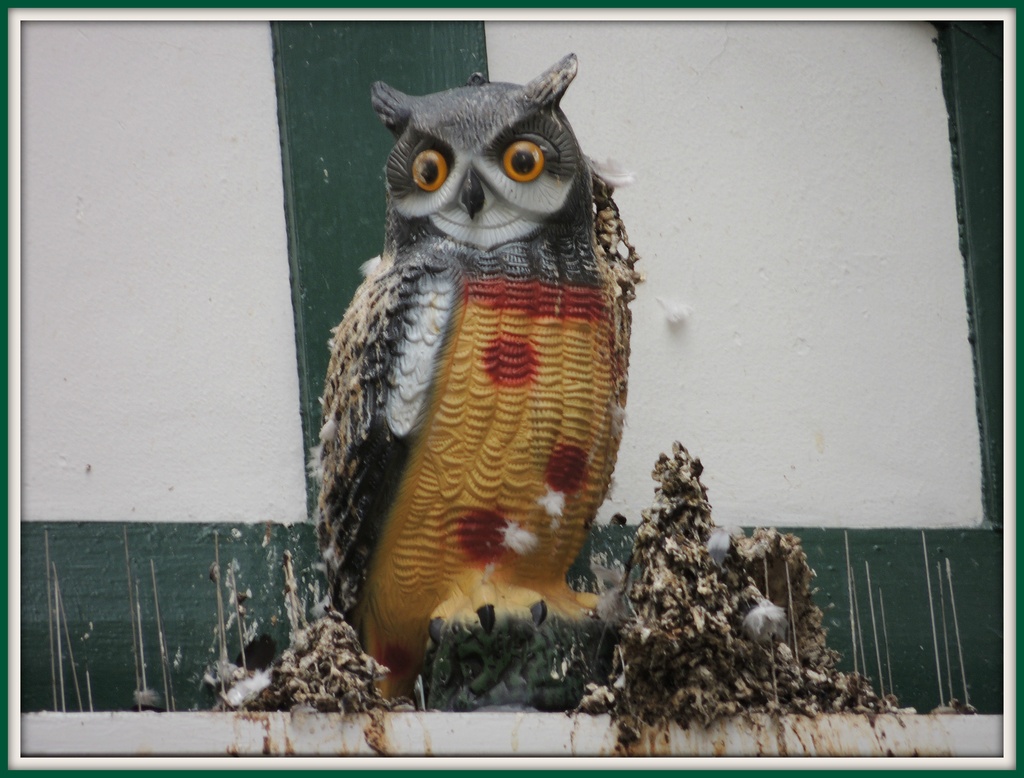 Owl and his accompaniments by rosiekind