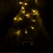 Attempt at Bokeh by salza