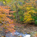 Fall Colors in Clifton Gorge by alophoto