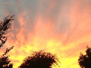 8th Oct 2012 - The Sky is on Fire