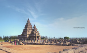 7th Oct 2012 - Mahabalipuram