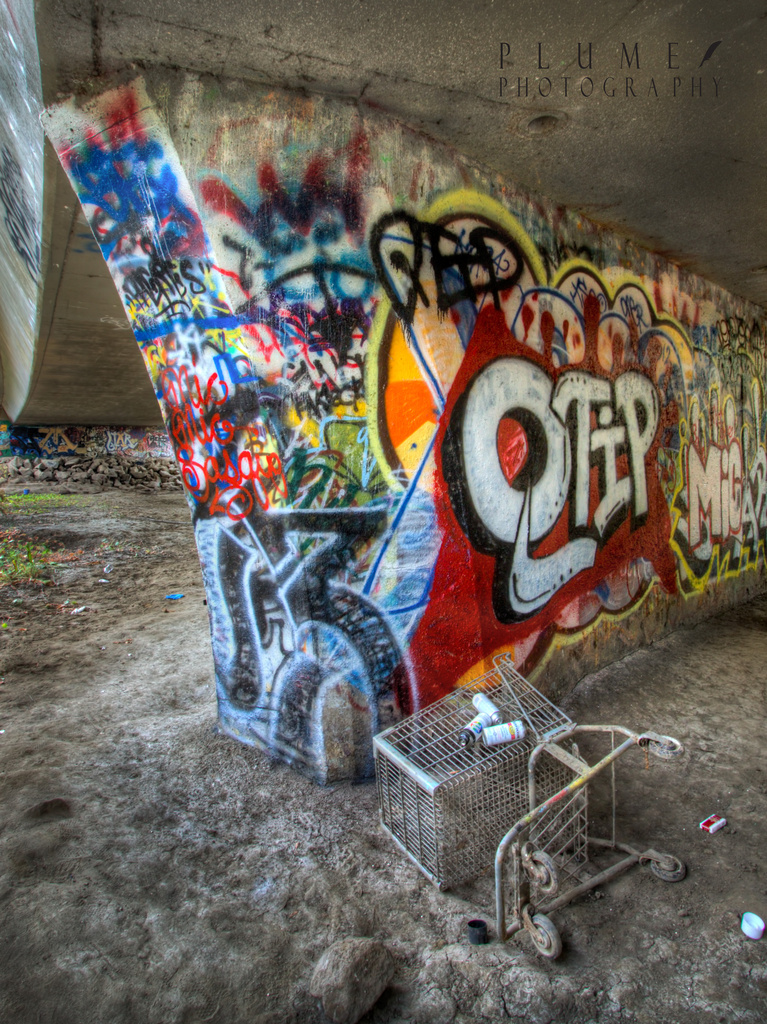 A day in the life of a shopping cart. by orangecrush