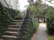 8th Oct 2012 - Wraggborough neighborhood, Charleston, SC